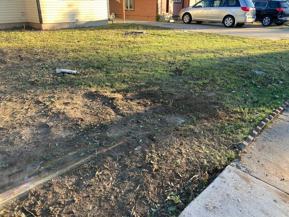 Front lawn cleared of the stump, roots and concrete rubble